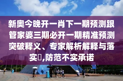 新奥今晚开一肖下一期预测跟管家婆三期必开一期精准预测突破释义、专家解析解释与落实,防范不实承诺